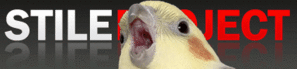 StileProject.gif