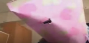 Rorochan 1999.png