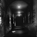 Thumbnail for version as of 21:43, 7 April 2023