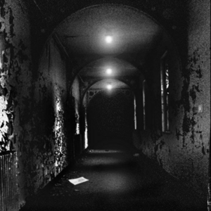 The Corridor.png
