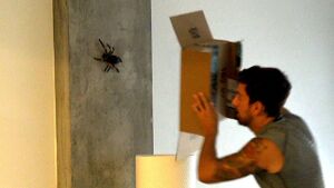 Spider.jpg