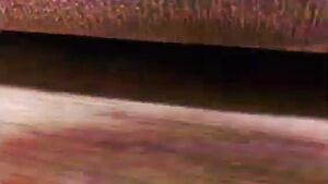 Beware the spiders!.jpeg