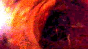 What's Inside the Coke.jpeg