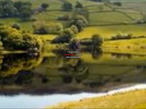 Countryside Screamer. My First.png