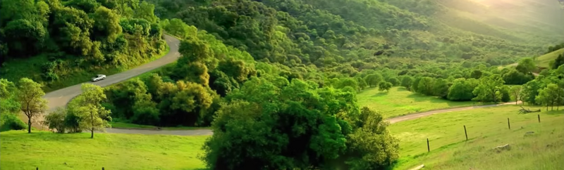 File:K-fee Auto Full.png