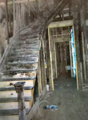 Thumbnail for version as of 06:38, 20 February 2021