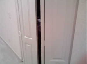 Scary Closet Pop Up.png