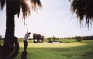 More behind the scenes of K-fee Golf.