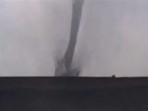 TORNADO SUCKS UP A COW.png