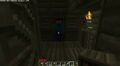 A screenshot featuring Herobrine in front of a door.