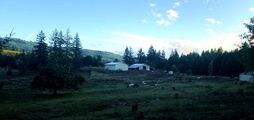 Farm
