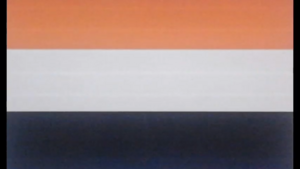 Estonia flag illusion.png