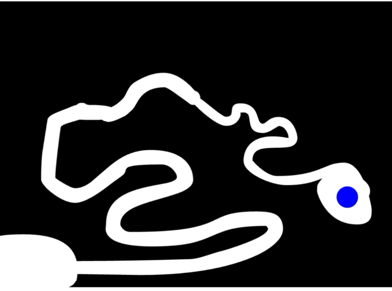 File:MOTD Level 2.png