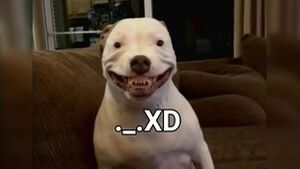 Maddy.jpg