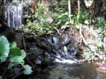 Thumbnail for version as of 05:21, 3 March 2021
