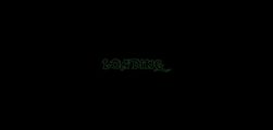 The unique font on the loading screen. In this case, "Dark Crystal Outline" by Sharkshock.