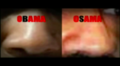 Thumbnail for version as of 20:38, 12 March 2021