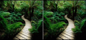 Spot the Difference wmv.png