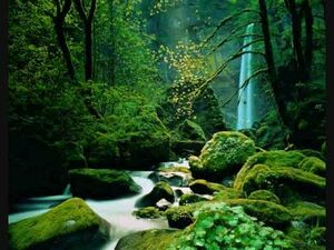 Scary Waterfall Pop-Up.jpg