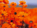 Thumbnail for version as of 08:24, 10 July 2021