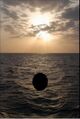 The black dot with an ocean in the background.